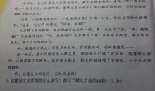 中华魂读后感200字