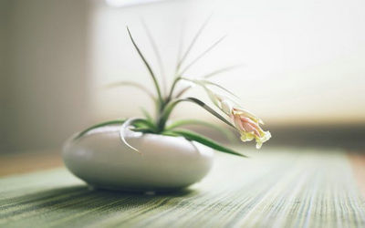 哲学上的句子和图画：我们经常打败别人，但很难打败自己1