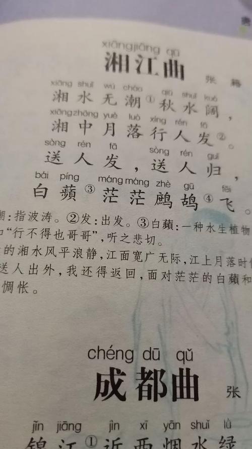 张出生：没有老人