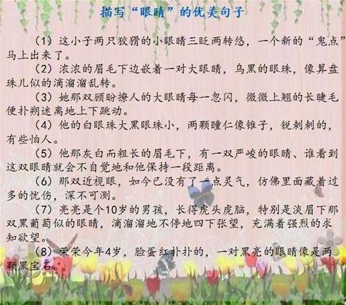 那些美丽的句子