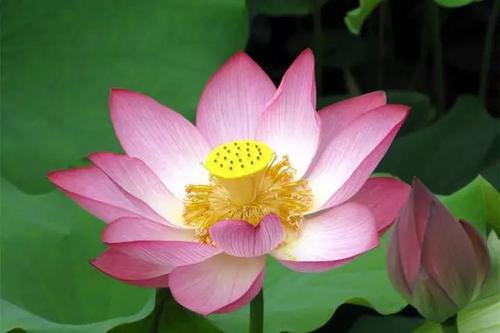 那些成功的人取决于做出选择并知道如何减去