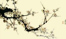 诗经：君子偕老