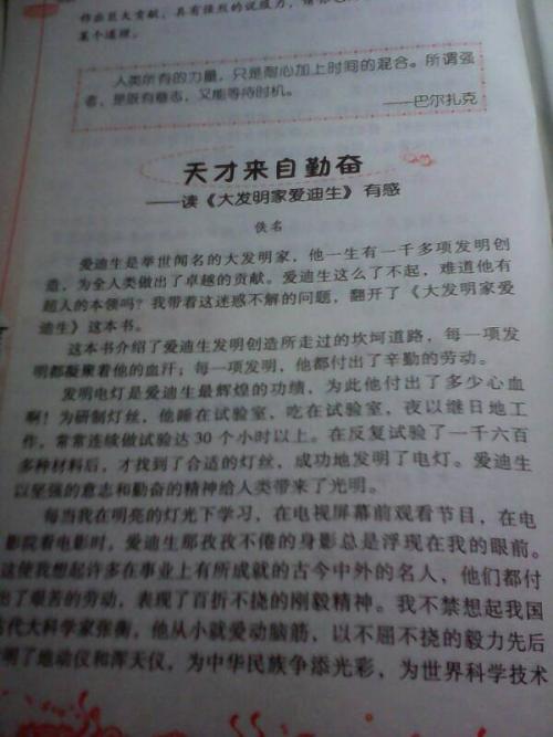 夏洛特在线阅读1000字