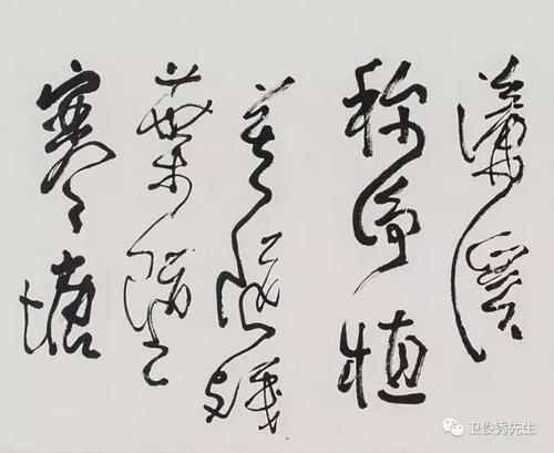 鲁迅:莲花人与欣赏