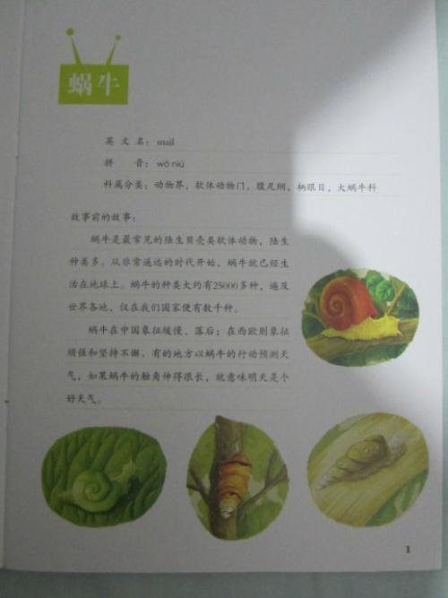 撰写植物作品：旅行者扛着房子