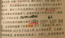 初中优美句段和赏析