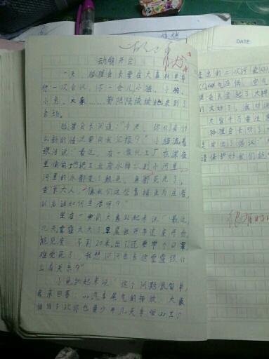 撰写动物文章：可爱的小蚂蚁