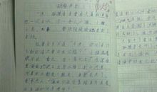 写动物作文：可爱的小蚂蚁