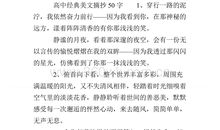 300字美文摘抄赏析