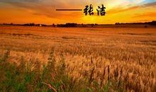 张洁：拣麦穗
