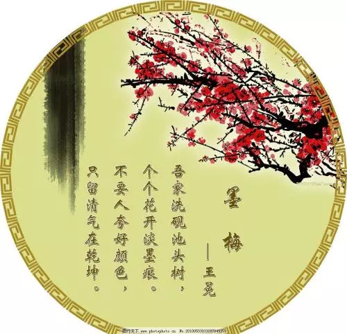 墨梅王绵_墨梅古诗