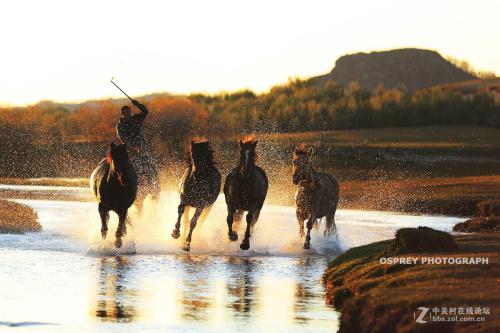 刘寅:山房·马蹄踩水与混沌明霞