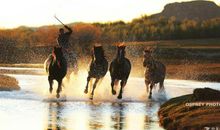 刘因：山家·马蹄踏水乱明霞