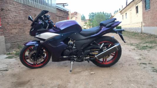 变色龙继续写300个字