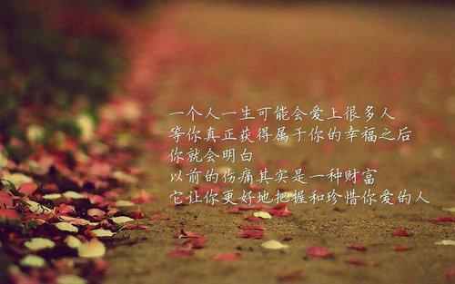 句子故事感叹命运