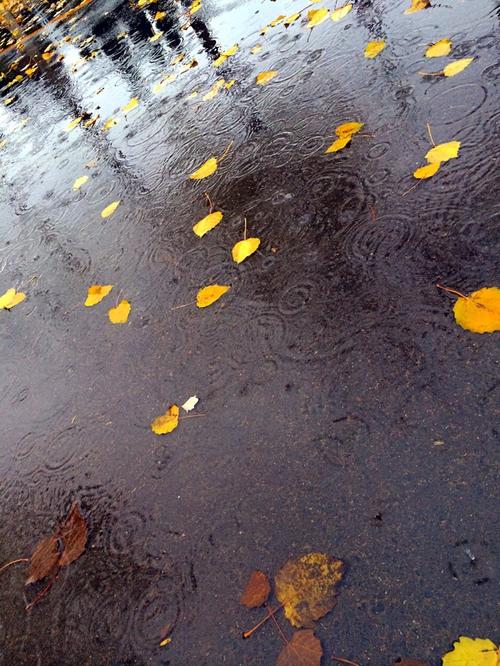 关于雨的美丽句子