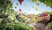 创造性思维的名言