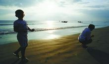 杨朔：投进生活的深处