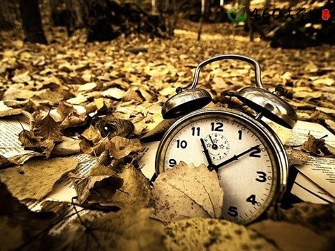 形容寿命短的句子