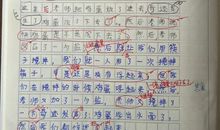 浮起来的鸡蛋作文