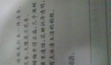 描写梅花的语段