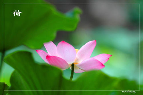 蒋锡培经典语录