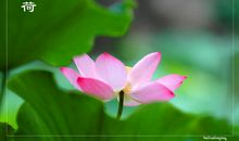 蒋锡培经典语录