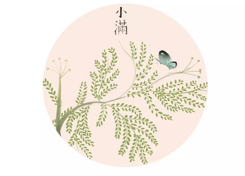戴敏:初夏访问张远