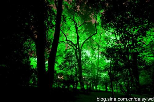 罗兰：夜晚很安静