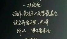 经典语录：打拼，上进，不是为了做给别人看，是为了不辜负此生