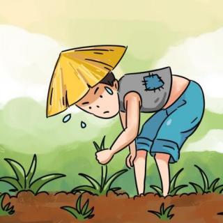 揠苗鼓励继续写作