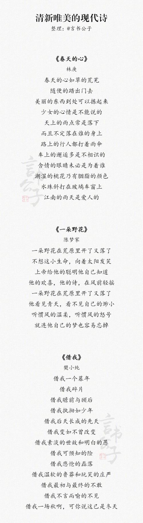 美丽的现代诗歌