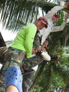 用一句话洗你的心