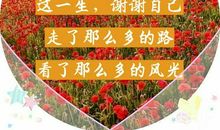 开讲啦滕华涛演讲稿：停下来，做点无用的事