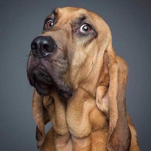 非常经典的报价