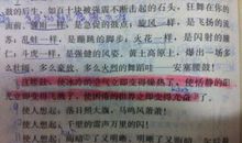 缩小夸张的句子