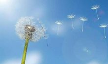 越是聪明人，越懂得下笨功夫