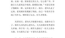 稻草人续写300字