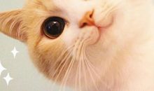 人生的30条忠告，懂了以后会开心很多