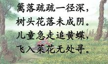 宿新市徐公店古诗