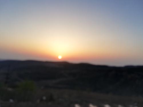 张小峰:幸运的是