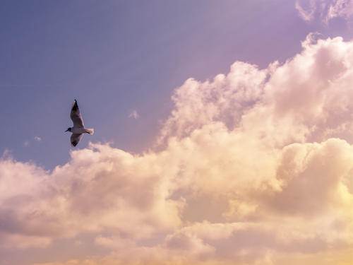 与丈夫一起快乐旅行的句子与恋人一起旅行的句子2