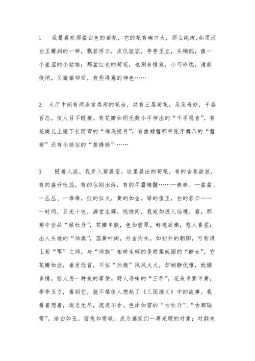 一段描述菊花的质量