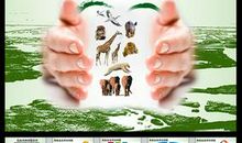 保护野生动物的宣传语