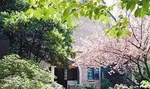 巴金：静寂的园子