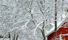 关于描写冬天寒冷的句子