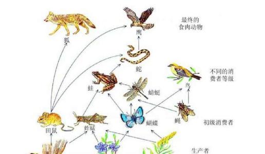 事情在句子中聚集在一起