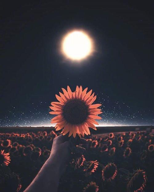 句子描述得很无奈