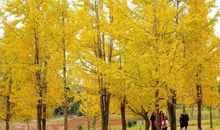 吕本中：连州阳山归路