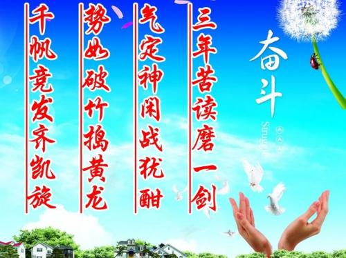 阅读有进取心的报价